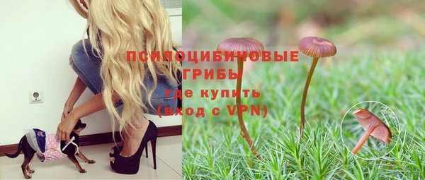 дмт Аркадак