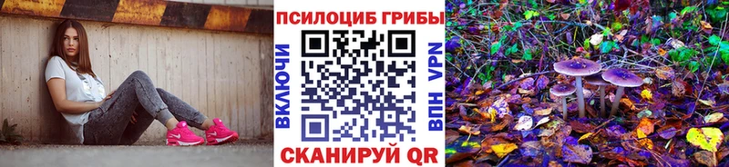 Псилоцибиновые грибы мицелий  Свободный 